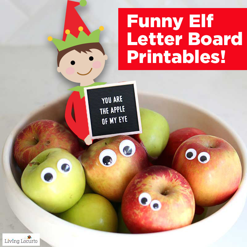 Funny Elf Letter Board Signs