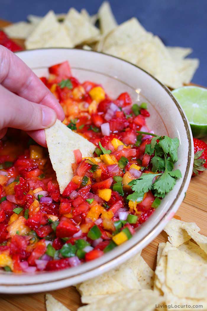 Savory Appetizers Mini Cookbook