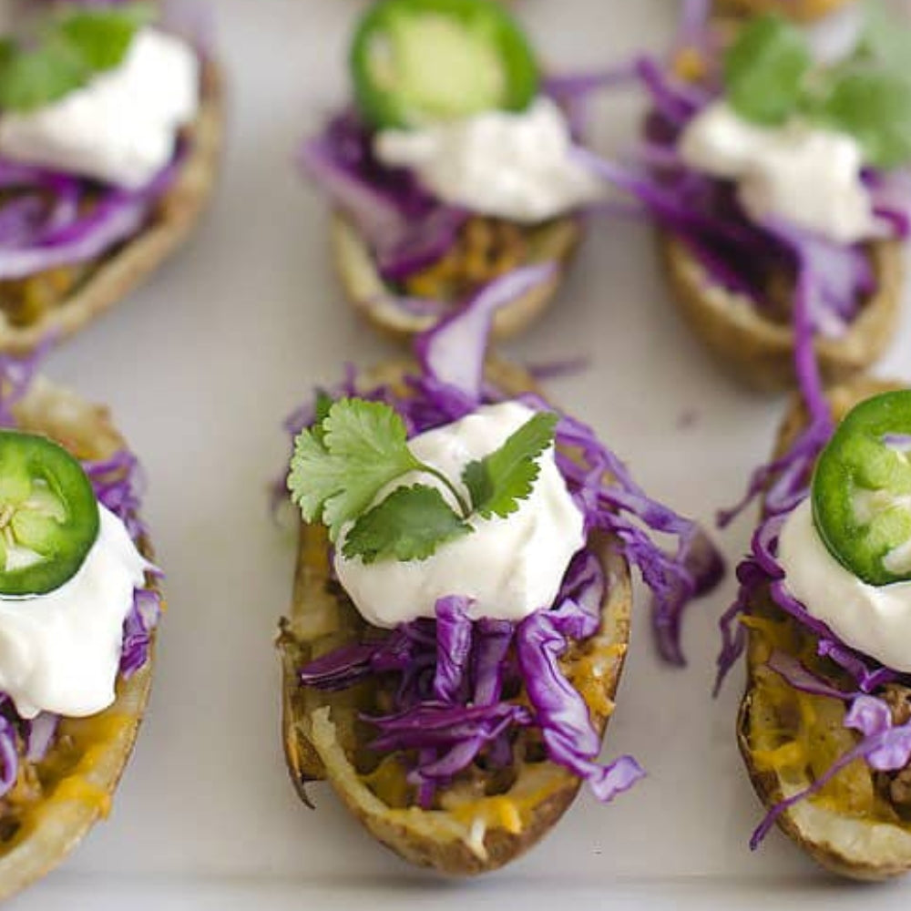 Savory Appetizers Mini Cookbook